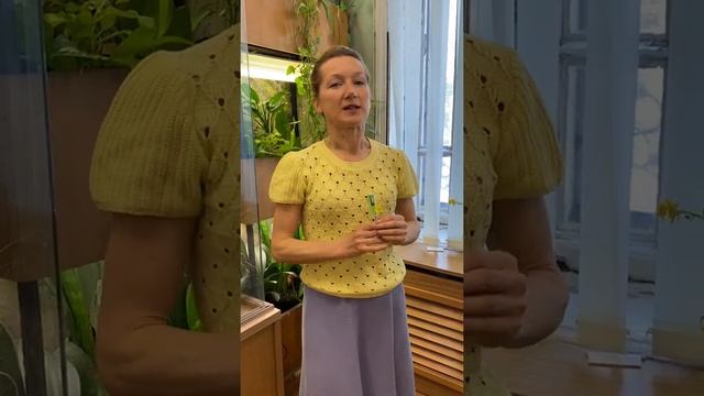 #shorts О том как видят цветы опылители смотреть онлайн