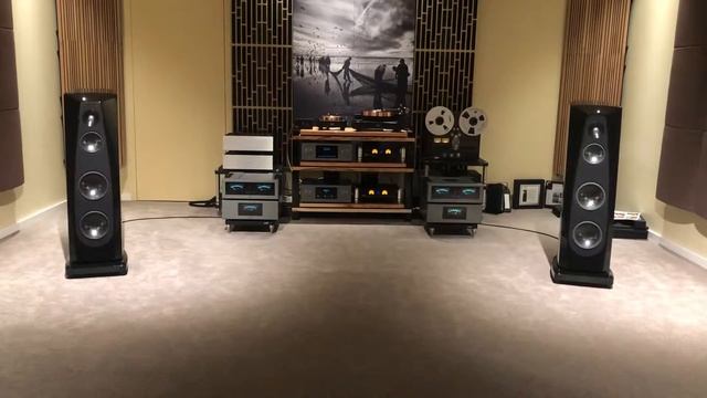 TW Acoustic Black Night TT with RMD Phono смотреть онлайн