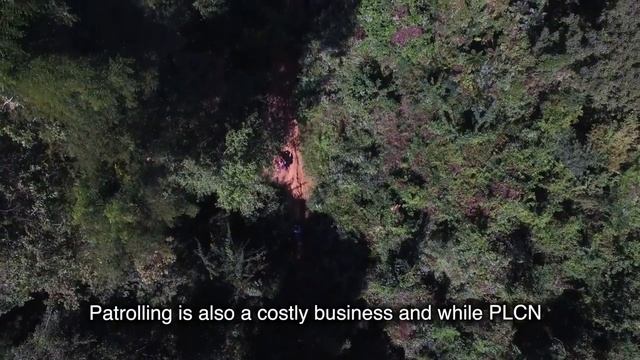 The Lives of Forest Defender смотреть онлайн