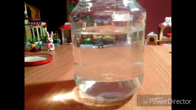 DIY//Снежный шар//Новая рубрика