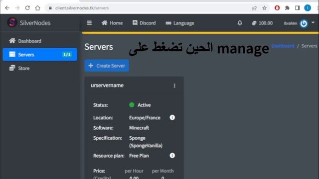 Free Minecraft hosting 24/7h SilverNodes ! смотреть онлайн