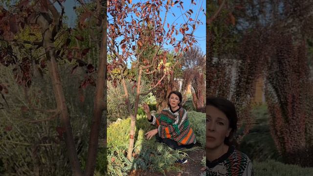 Не роби це в жовтні! смотреть онлайн