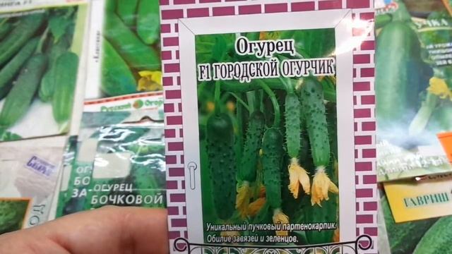 Как вырастить огурец на окне или балконе? Ольга Чернова. смотреть онлайн