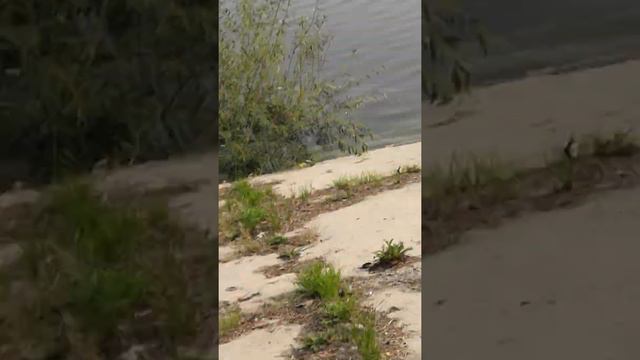 Руслан и водохранка 1часть смотреть онлайн