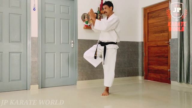 Kata Seienchin (shito ryu) смотреть онлайн