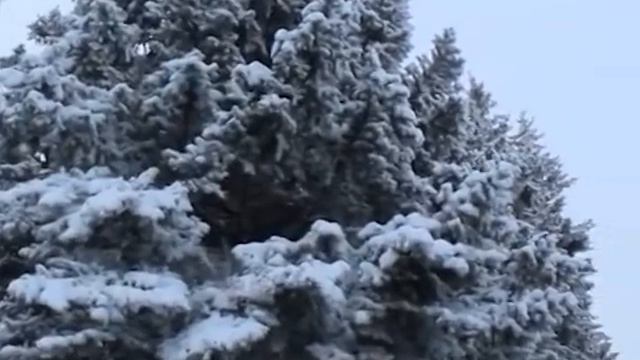 Завируха, метель ,завируха. Зимняя песня ВИА ВЕРАСЫ. смотреть онлайн