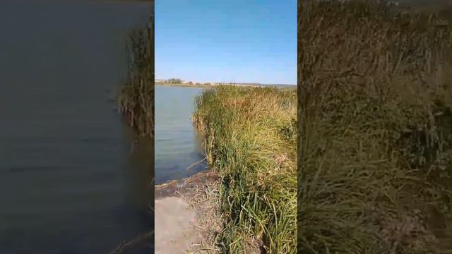 Отдых на природе смотреть онлайн