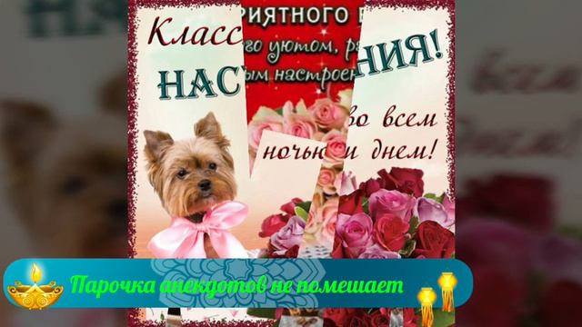 Чудесного вечера! Прекрасного настроения! Замечательная музыкальная открытка. смотреть онлайн