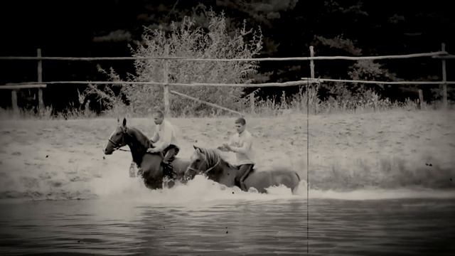 Марк Колесников - Донцам.mp4 смотреть онлайн