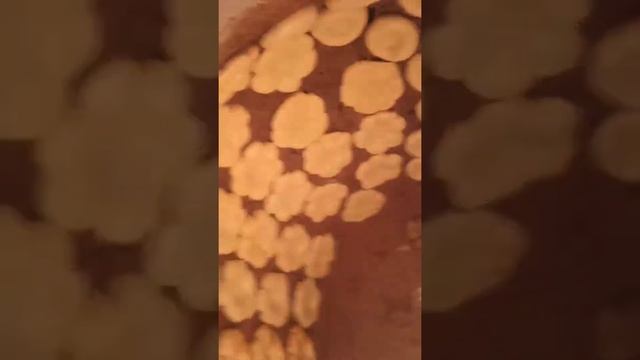 Лепешка в тандыре# еда#short#food#узбекскаяеда #узбекскаякухня смотреть онлайн