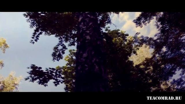 Лес,Чай,Варган./Здравствуй дорогой друг #3. смотреть онлайн