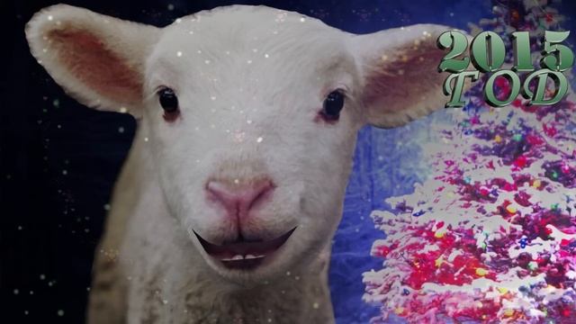 Новогоднее поздравление с 2015 годом овечки смотреть онлайн
