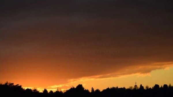 Sofia Reyes - Hola como tale tale vu (1, 2, 3) [Lyrics] ft. Jason Derulo & De La Ghetto