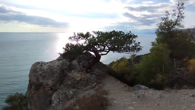 Что можно увидеть в золотой поре по дороге в Веселовскую бухту? Море шумит! Долина Ада сейчас. смотреть онлайн