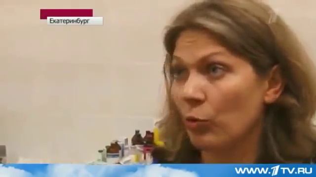 Камышовый кот живет в квартире смотреть онлайн