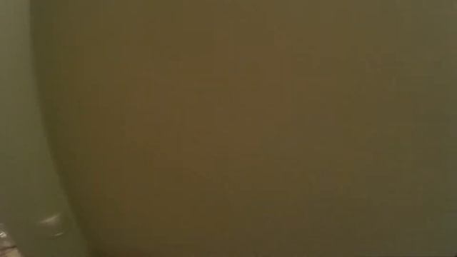 Сдам ( Сниму ) 1 комнатную квартиру в Самаре, ул.Арцыбушевская 204. Код 84014 смотреть онлайн