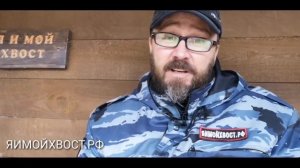 Чем дезинфецировать б/у клетку, вольер, будку, как избавиться от блох, и т. П.