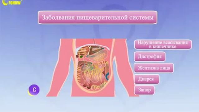 Постельное белье FOHOW SD смотреть онлайн