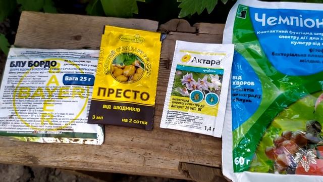Срок действия и срок ожидания препаратов для обработки винограда смотреть онлайн