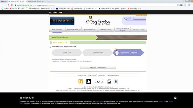 ПОДПИСКА ЗА 289 РУБЛЕЙ В FFXIV! КАК КУПИТЬ ДЕШЕВО? ПОЛНЫЙ ГАЙД ОТ КОТЕЯ! смотреть онлайн