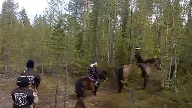 Uteritt med ponnyerna смотреть онлайн
