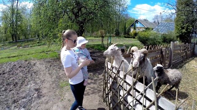 6. Экологический центр. Полоцк смотреть онлайн