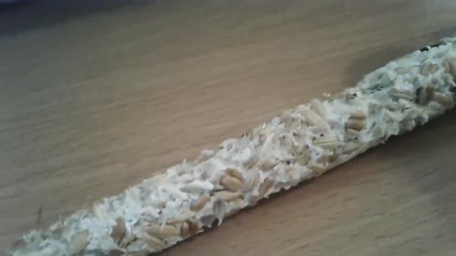 Какие животные живут в моём доме и обзор на клеточку??????? смотреть онлайн