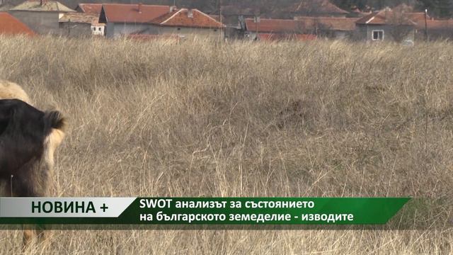 Новина плюс: SWOT анализът за състоянието на българското земеделие - изводите смотреть онлайн