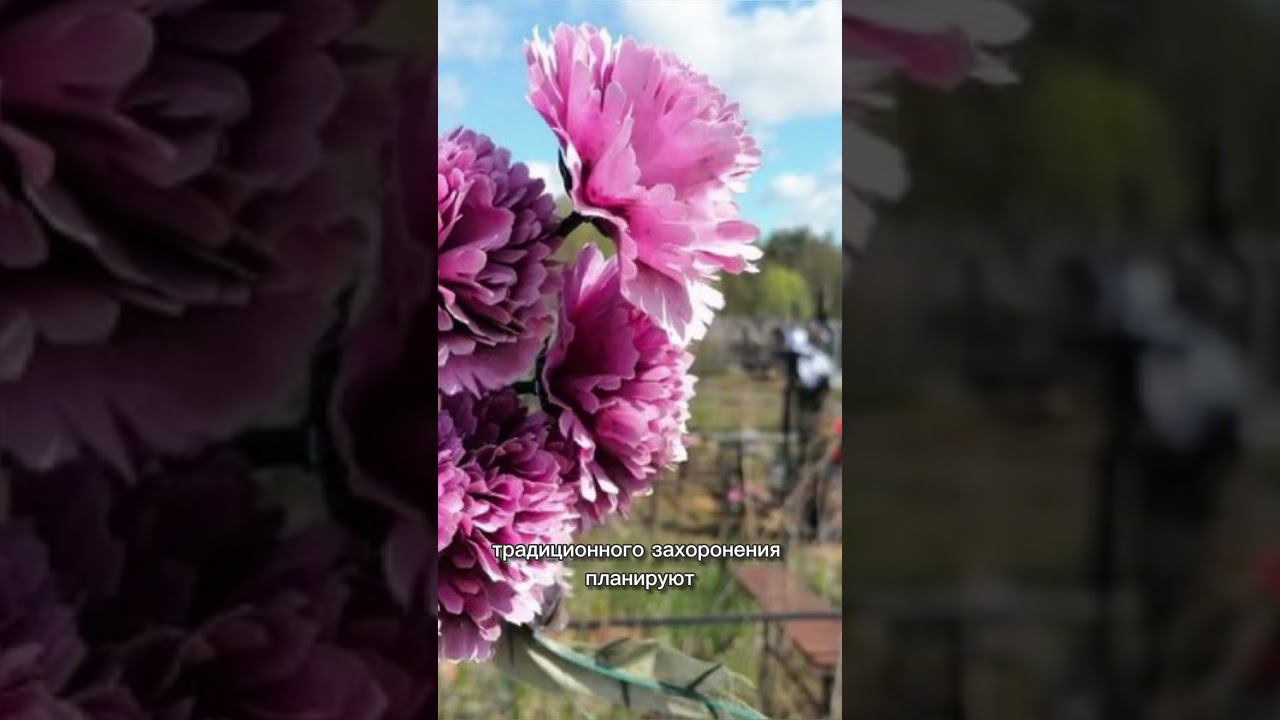 Под Гомелем проектируют новое кладбище с крематорием смотреть онлайн