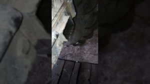 1NZ FE проблема с набором оборотов 1