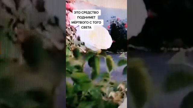 ГАЛИНА БАСКАКОВА. ГДЕ ПРАВДА? смотреть онлайн