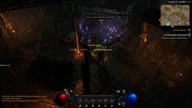 Diablo 4 ERROR al dejar caer objetos en la ciudad CUIDADO!! смотреть онлайн
