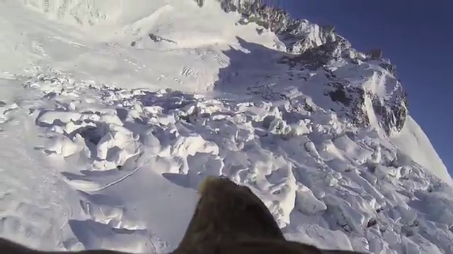 Орел с видеокамерой смотреть онлайн