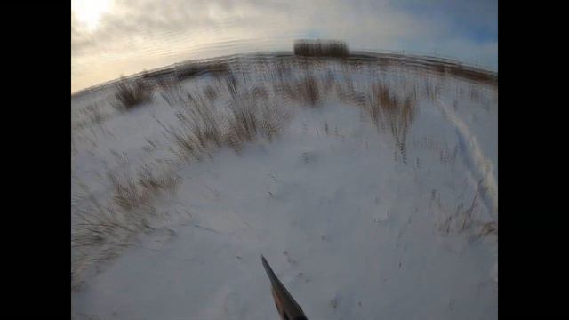 Охота на зайца смотреть онлайн