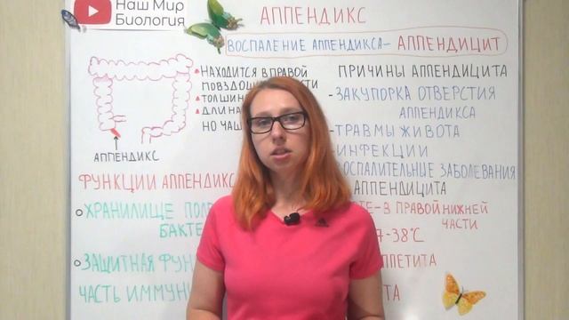 Зачем нужен аппендикс? Что такое аппендицит? смотреть онлайн