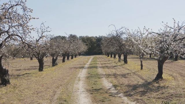 Les Faïences D'Apt (EN) - Ceramic And Earthenware Traditional Workshop