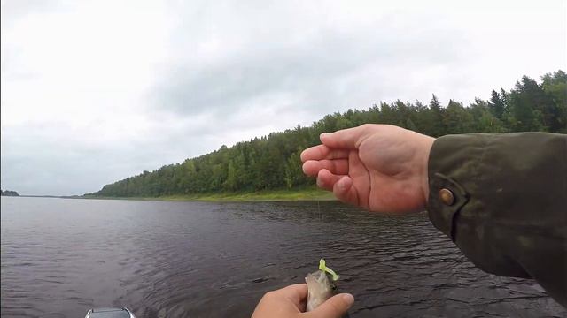 Последний день отпуска '20.Копченые окуни,путь до места лова,рыбалка смотреть онлайн