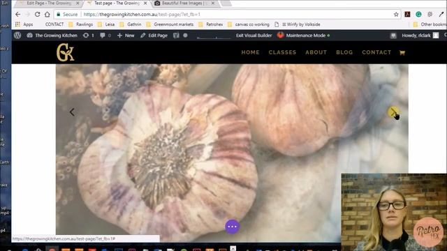 Add an Image Gallery to your WordPress Website with Divi Theme смотреть онлайн