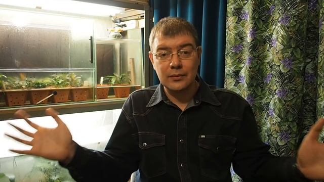 Запуск аквариума просто и доступно Часть 2 смотреть онлайн