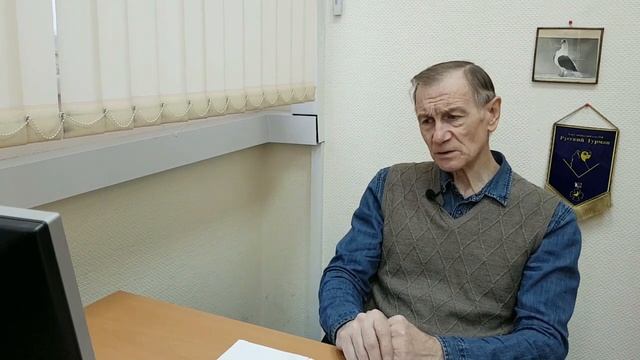 Голуби породы турман. Лекция седьмая. О краснопегих турманах. Константин Шарпов. смотреть онлайн