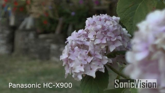 Panasonic HC-X900 & HC-WFX1 Video Camcorder "Bokeh" смотреть онлайн