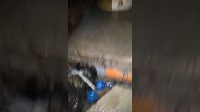 20 мая 2020 г. смотреть онлайн