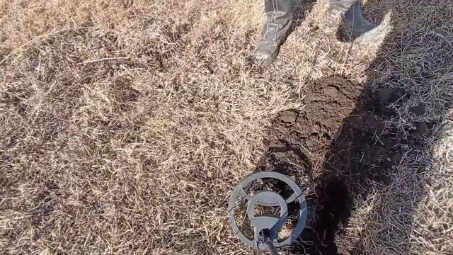 Открытие сезона. Металлоискатель мд810 мд4030