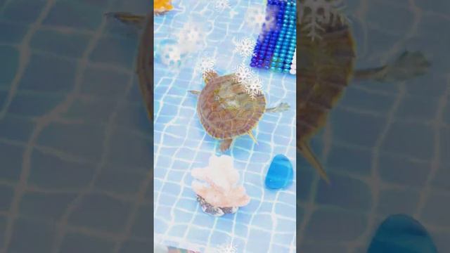 Check Our Rescue Abandoned Puppies Building 1M Dollar Mud House Dog And Fish Pond #short смотреть онлайн