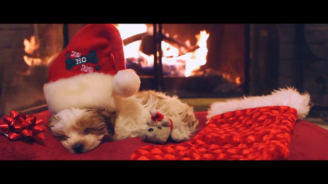 Первое Рождество щеночка смотреть онлайн