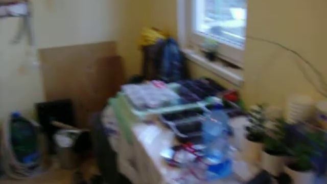 Вход в подвал к зольнику для печи Ангарка2,5х4. Из кухни 100 0547 смотреть онлайн