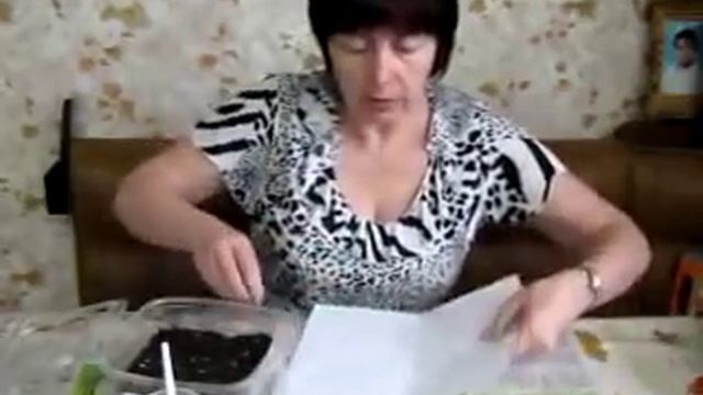 Сеем семена стрептокарпусов. Сайт www.fialki-mk.ru смотреть онлайн