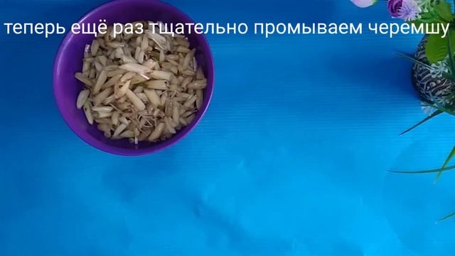 Черемша вкусная и полезная! ??Как приготовить черемшу?♥️