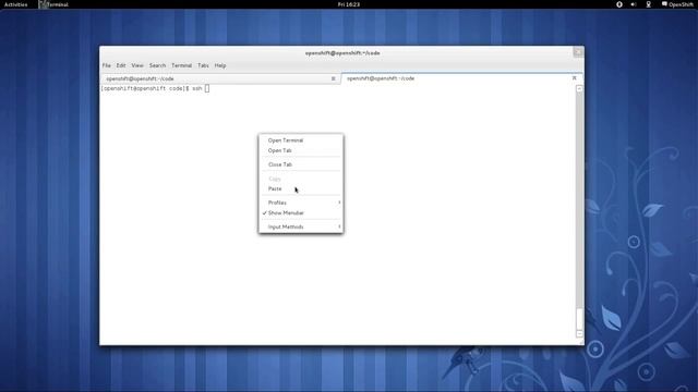 Deploying and Managing PostgreSQL on OpenShift смотреть онлайн