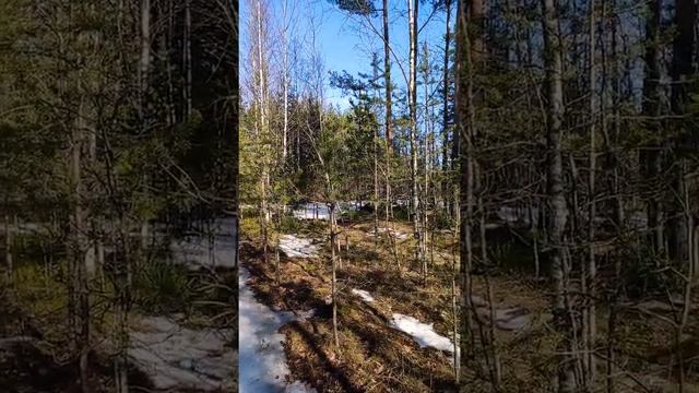 микрорайон Южный. прогулки у дома смотреть онлайн